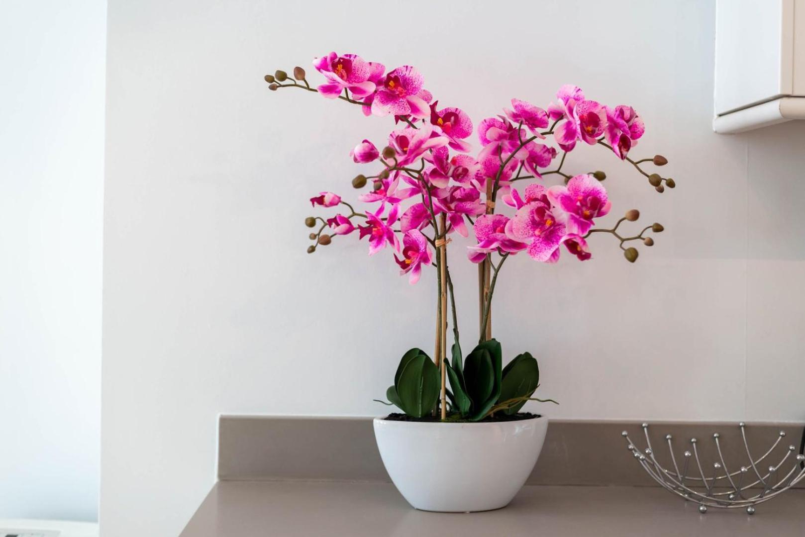 Guestready - Stunning Covent Garden 2Br Duplex Lejlighed London Eksteriør billede